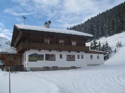 Geisler 5 